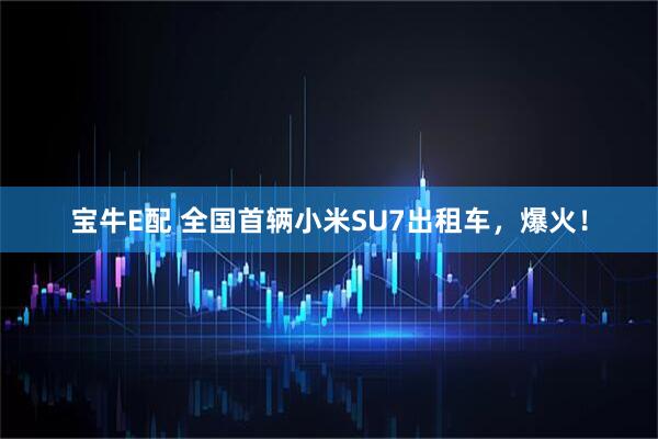 宝牛E配 全国首辆小米SU7出租车，爆火！