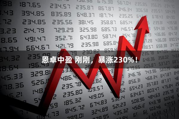 恩卓中盈 刚刚，暴涨230%！