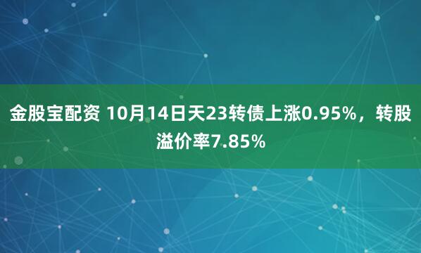 金股宝配资 10月14日天23转债上涨0.95%，转股溢价率7.85%