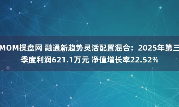MOM操盘网 融通新趋势灵活配置混合：2025年第三季度利润621.1万元 净值增长率22.52%
